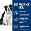 Canine t/d Dental Care