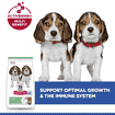 Puppy Medium Breed Lamb & Rice