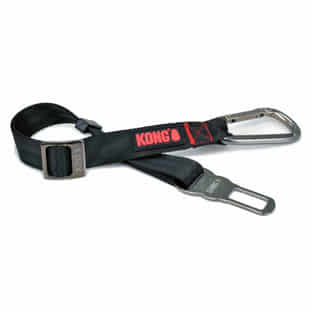 Seat Belt Tether Verbindungsgurt