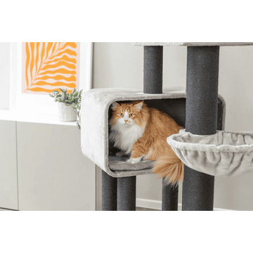 Arbre à chat XXL Rafael