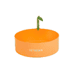Katzentoilette Tangerine