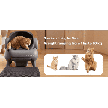 M1 Litter Box