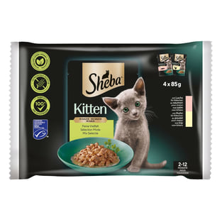 Kitten in Sauce feine Vielfalt