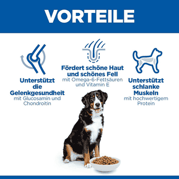 Canine Adult Large Breed Chicken