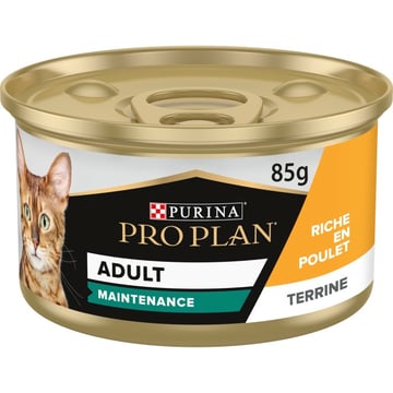Adult Maintenance Terrine Chicken