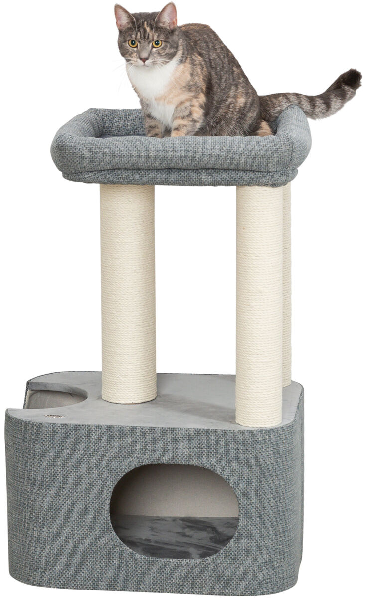 Viviana cat scratcher