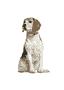 DOG Tracker GPS pour chiens