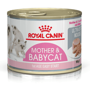 Mother & Babycat - Dose