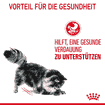 Digestive Care - Frischebeutel