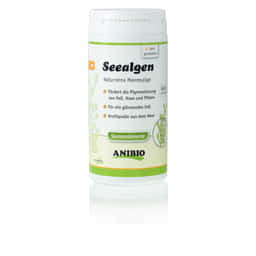 Seealge (Algues marines)