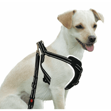 Sicherheitsgeschirr DogSafe für Hunde