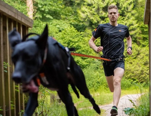 Bungee Leash Black/Orange