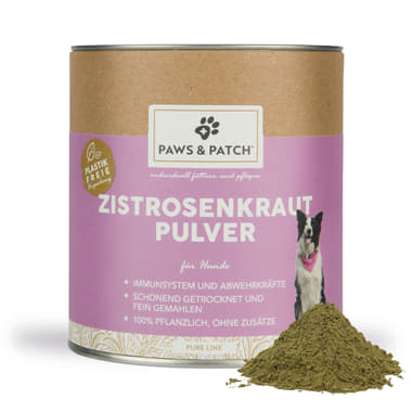 Zistrosenkraut Pulver