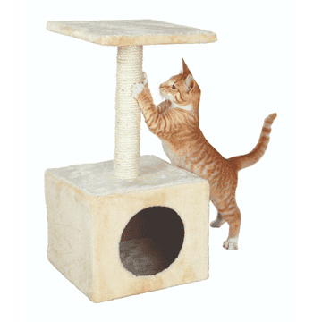 Zamora cat scratcher