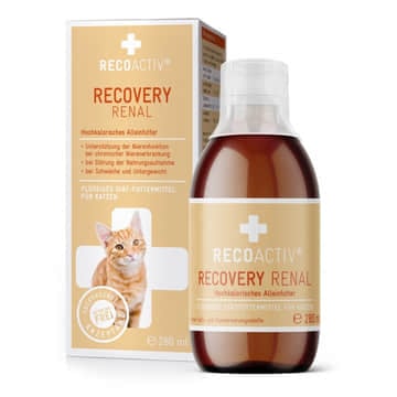 RECOVERY Renal Katze 1x280ml