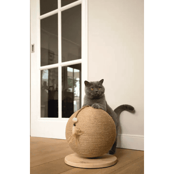 Kratzball Balty