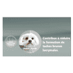 Canine Adult Mini Bar, Fenouil & Spiruline
