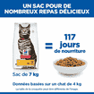 Feline Urinary Health