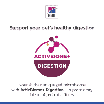 Canine Perfect Digestion - Can