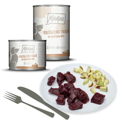 Dog vorzüglicher Strauss an fruchtigem Apfel