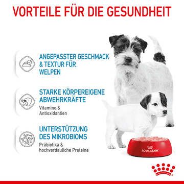 Starter Mousse Mother&Babies - Dose