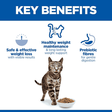 Feline Perfect Weight