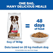 Canine Adult Healthy Mobility Medium Breed