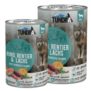 Dog Rind, Rentier & Lachs - Dose