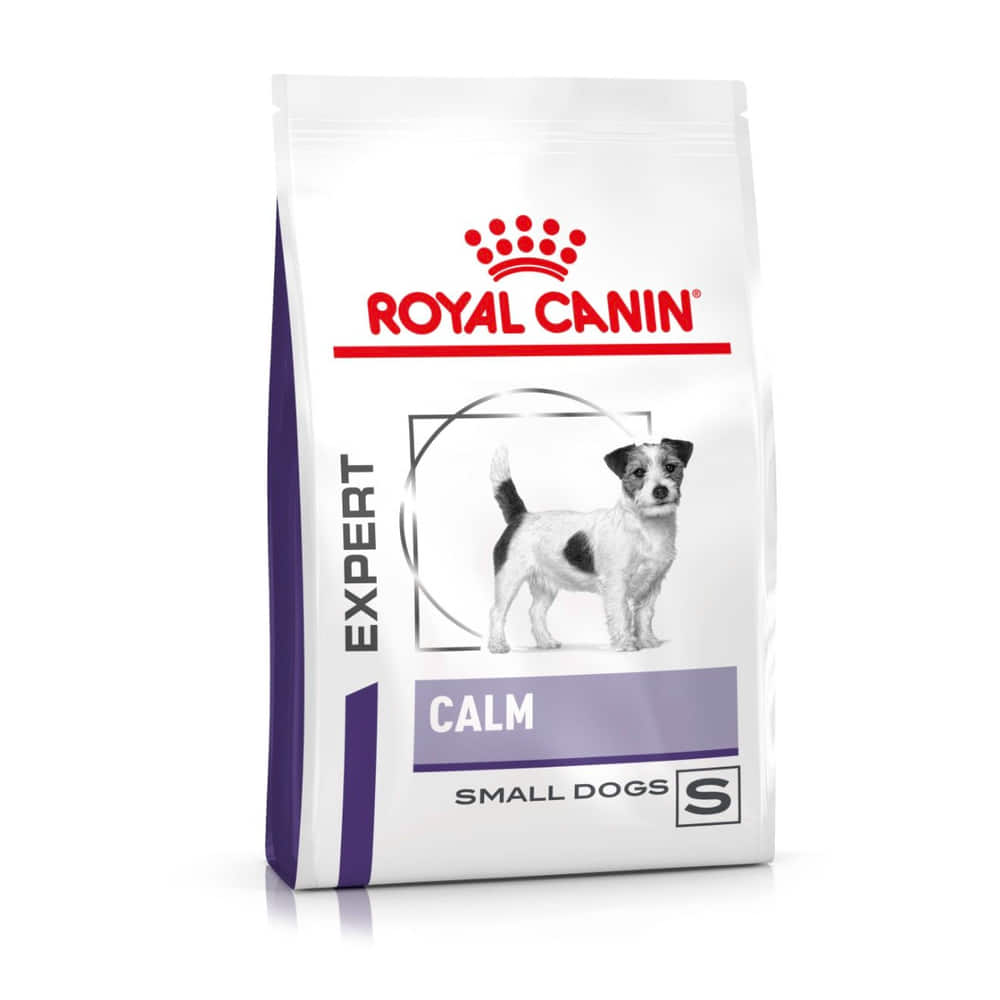 Calm Dog