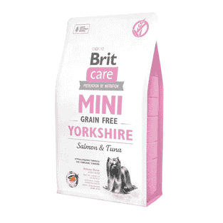 Care Mini Yorkshire Lachs & Thunfisch
