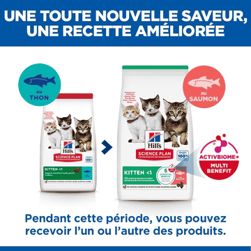 Kitten Tuna (nouveau: Salmon!)