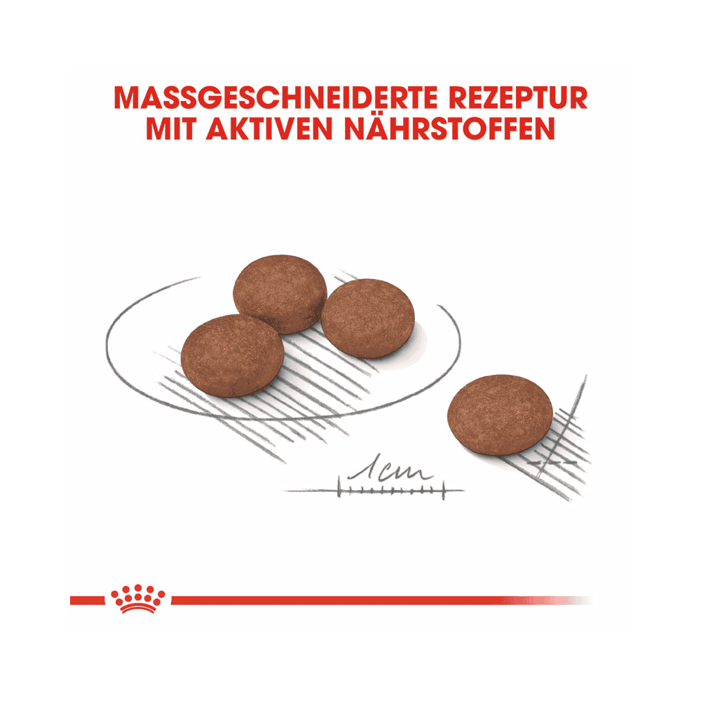 Mini Digestive Care