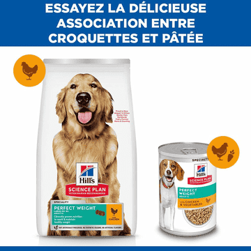 Canine Adult Perfect Weight Large Breed