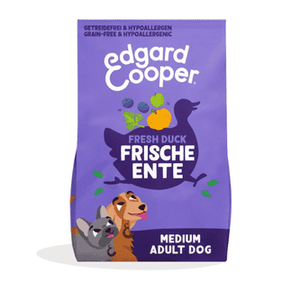 Adult Frische Ente mit Kürbis