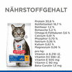 Feline Oral Care