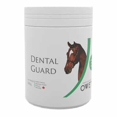 Dental Guard