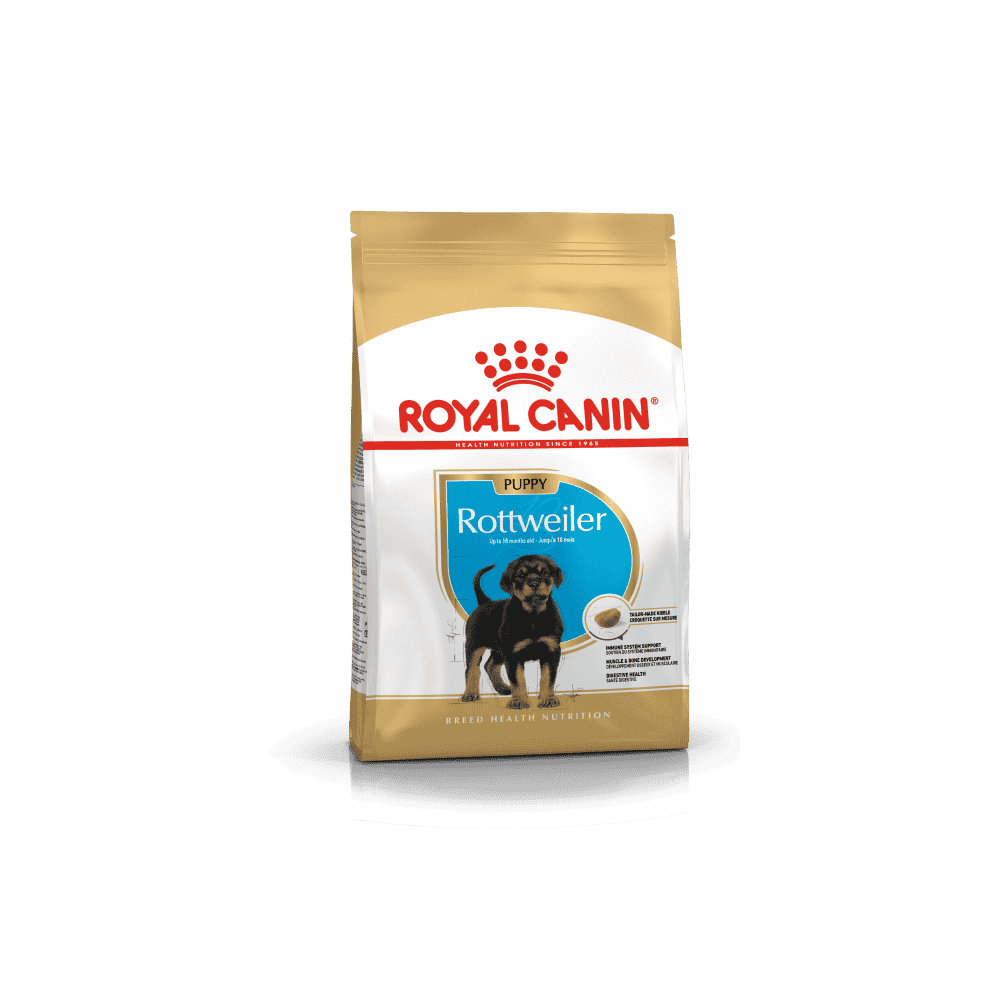 Rottweiler Puppy