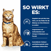 Feline c/d Multicare Urinary Care