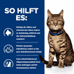 Feline t/d Dental Care