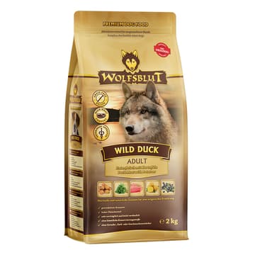 Wild Duck Adult