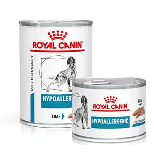 Hypoallergenic Dog - Dose