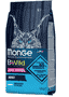 Cat Anchovies
