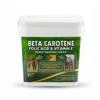 Beta Carotene, Folic Acid & Vitamin E