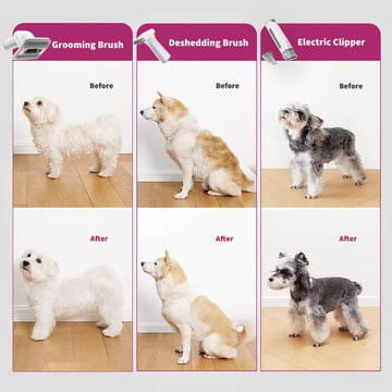 AirClipper Kit de toilettage 5-en-1 pour animaux