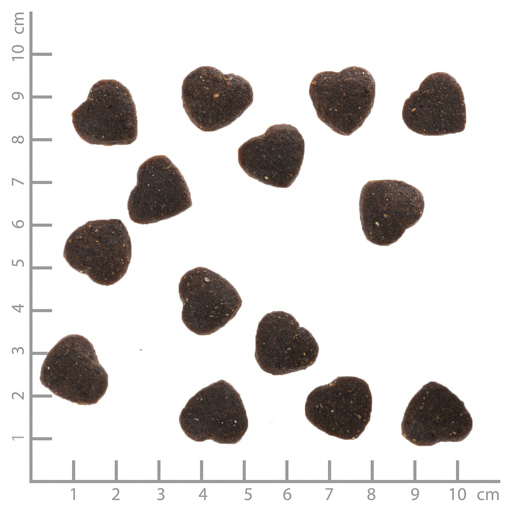 Wild Duck Squashies Small Breed