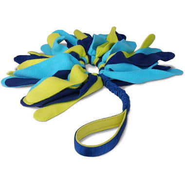 Tuggi Spider