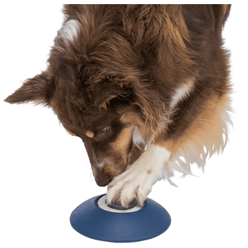 Dog Activity Memory Trainer 3.0