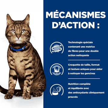 Feline t/d Dental Care