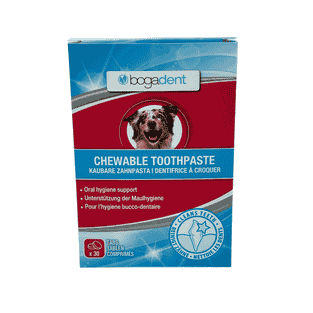 Bogadent dentifrice à croquer pour chiens