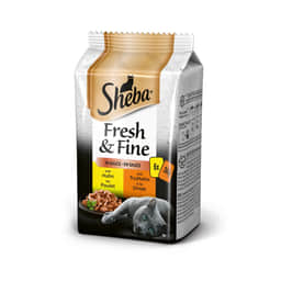 Fresh & Fine